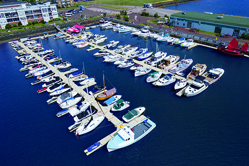 birds eye view of boats and docks smaller